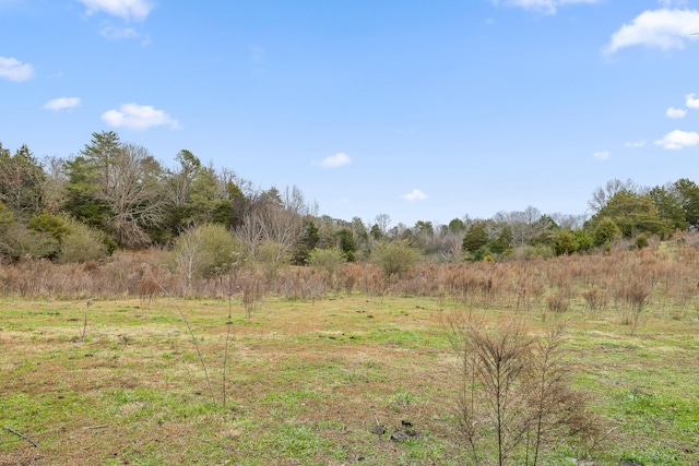 view of landscape featuring a rural view