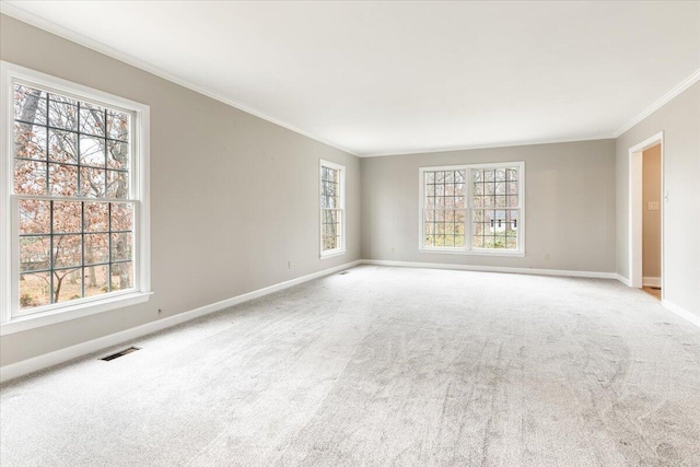 carpeted empty room with a healthy amount of sunlight and ornamental molding