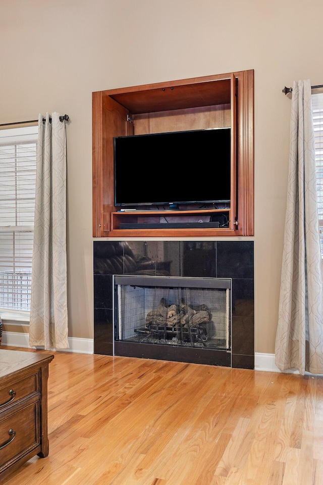 details featuring a fireplace and wood-type flooring