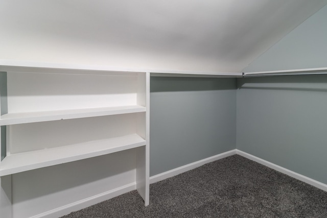 walk in closet featuring carpet flooring and vaulted ceiling