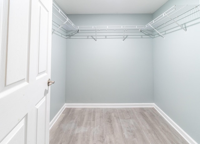 walk in closet with light wood-type flooring