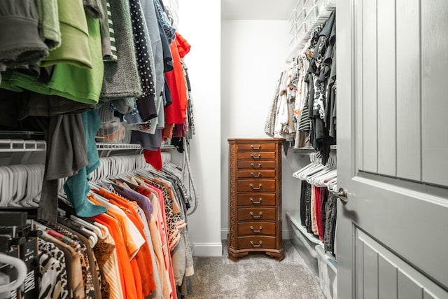 spacious closet with carpet floors