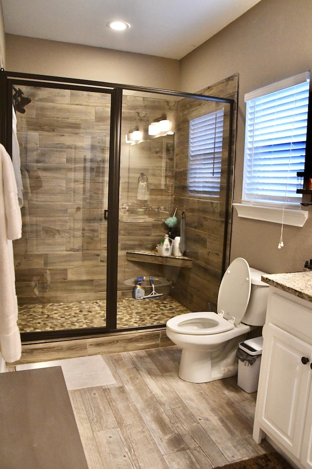 bathroom with vanity, toilet, and a shower with shower door