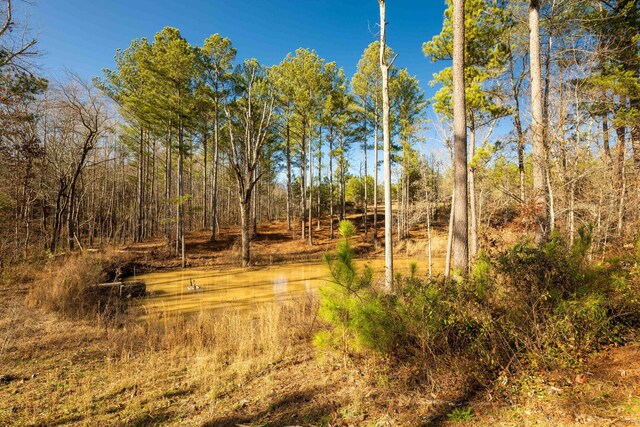 view of local wilderness