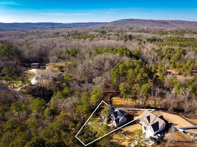 birds eye view of property with a mountain view