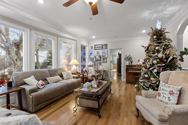 living room featuring ceiling fan, crown molding, and light hardwood / wood-style flooring