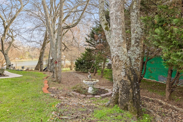 view of yard with a water view