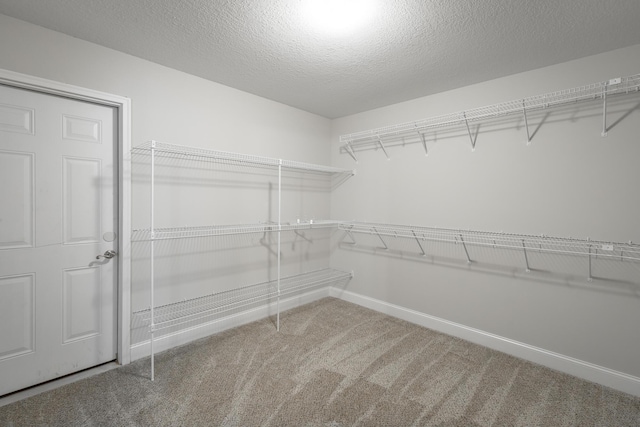 spacious closet with carpet floors