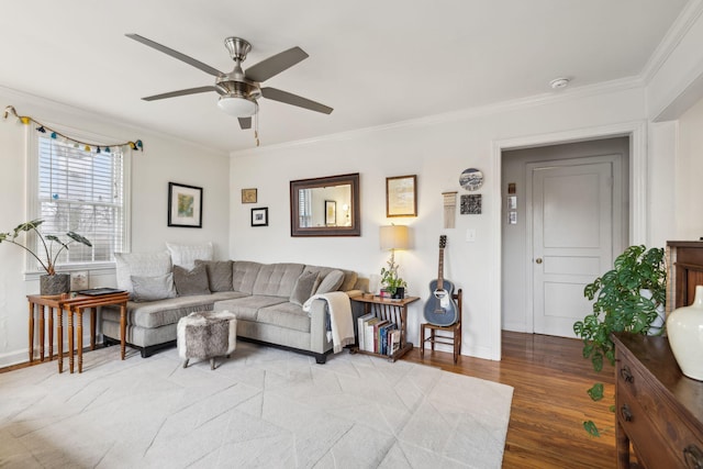 living room with hardwood / wood-style floors, ceiling fan, and crown molding