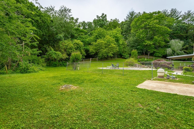 view of yard featuring a patio