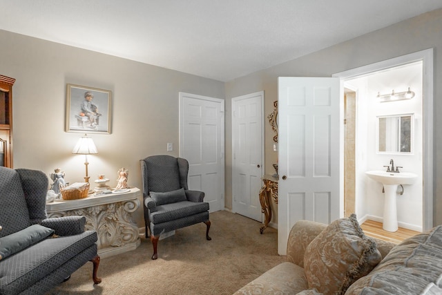 living area with sink and light colored carpet