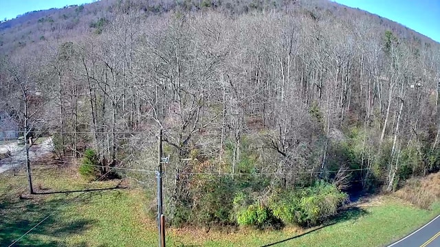 0 Woodmont Pl Unit 13, 14, Trenton, GA 30752 - photo 4