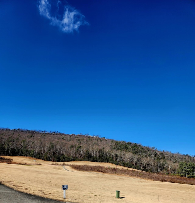 0 Woodmont Pl Unit 13, 14, Trenton, GA 30752 - photo 9