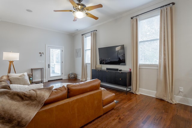 living room with a wealth of natural light, ceiling fan, crown molding, and dark wood-type flooring