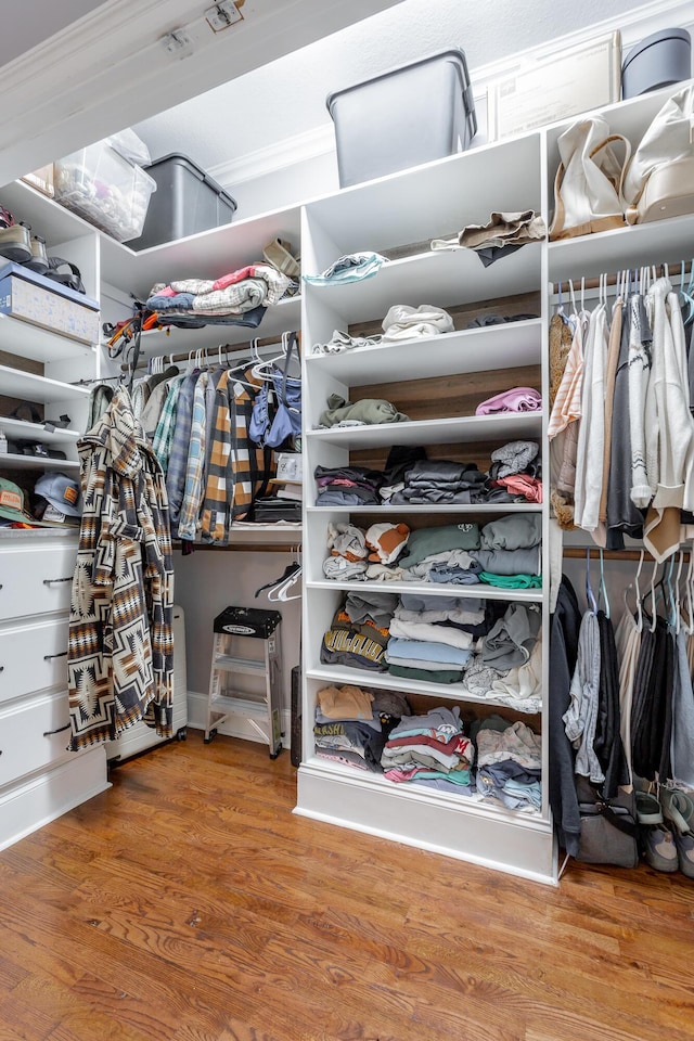 walk in closet featuring wood-type flooring