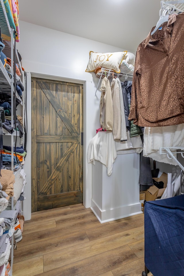 spacious closet with wood-type flooring