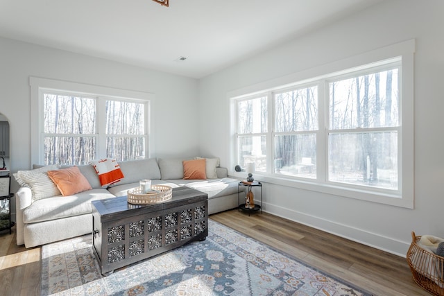 living room with light hardwood / wood-style flooring