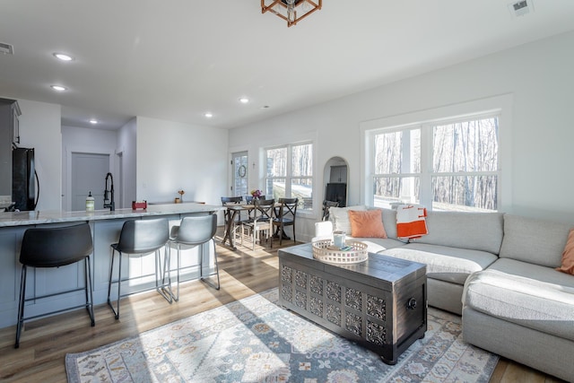 living room featuring hardwood / wood-style floors and plenty of natural light