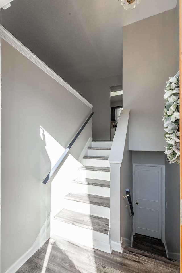 staircase featuring hardwood / wood-style floors