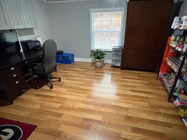 office with crown molding and light wood-type flooring