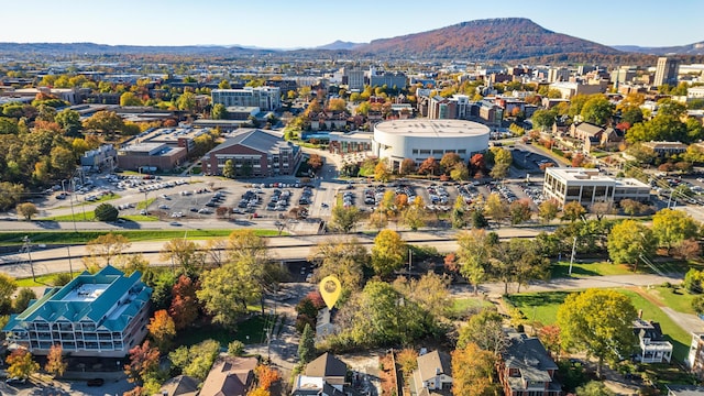 birds eye view of property featuring a mountain view