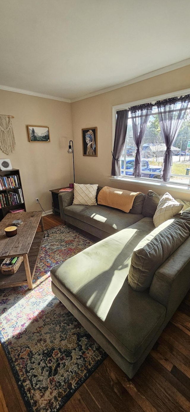 living room with dark hardwood / wood-style floors and ornamental molding