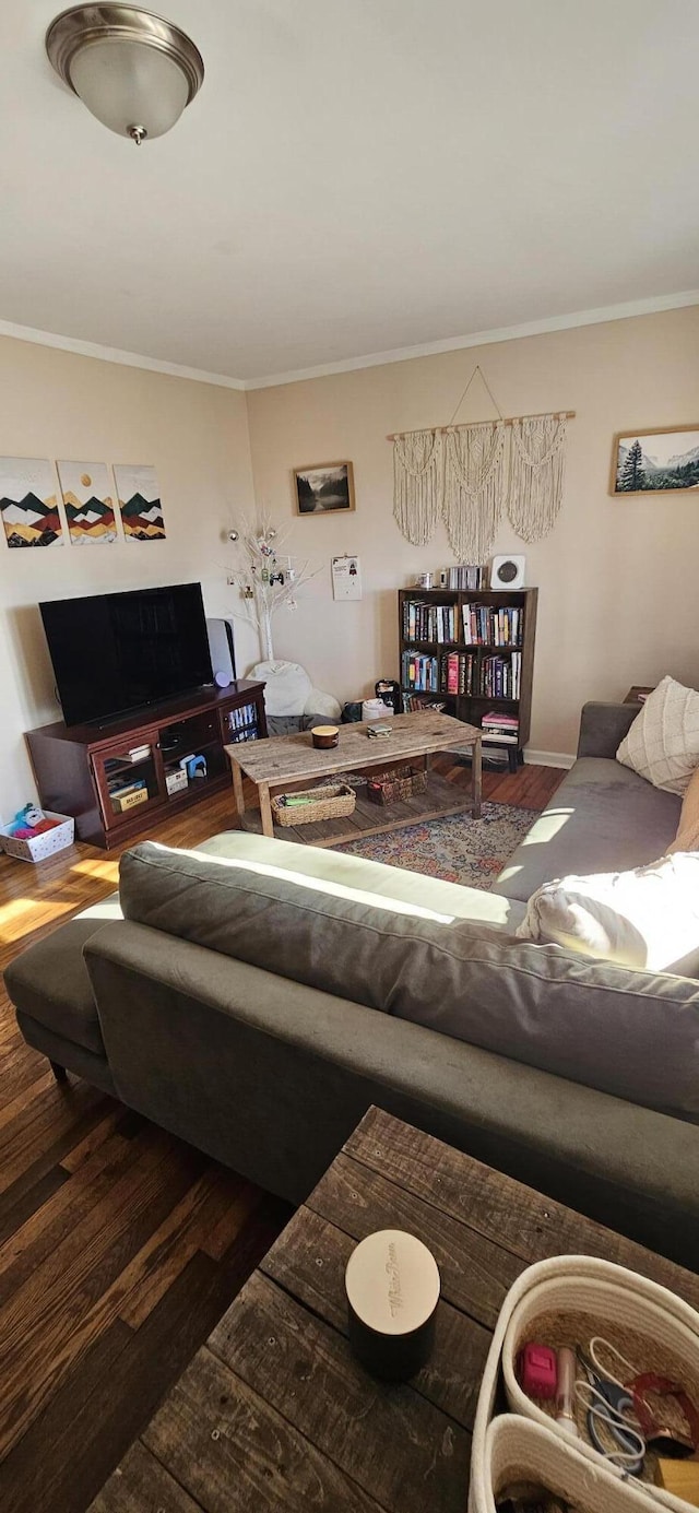 living room with hardwood / wood-style floors and ornamental molding