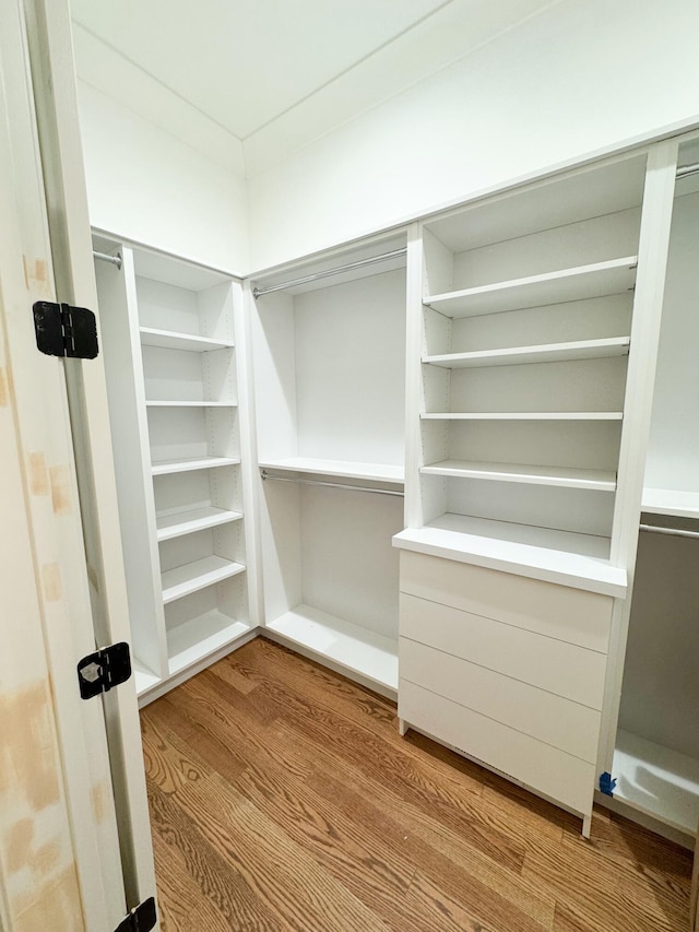 spacious closet with wood-type flooring