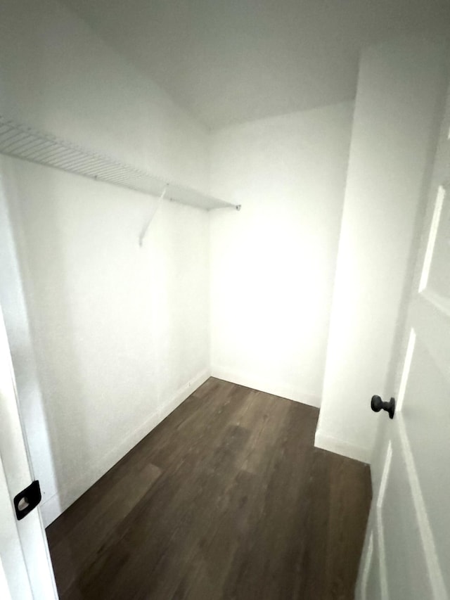 walk in closet with dark wood-type flooring