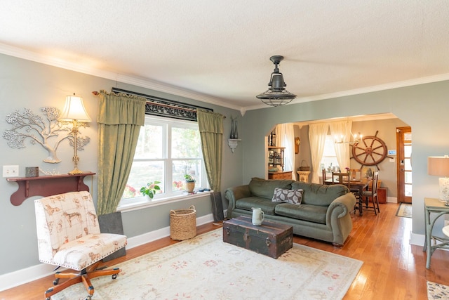 living room with a textured ceiling, light hardwood / wood-style floors, and crown molding