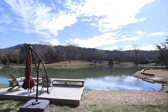 dock area with a water view