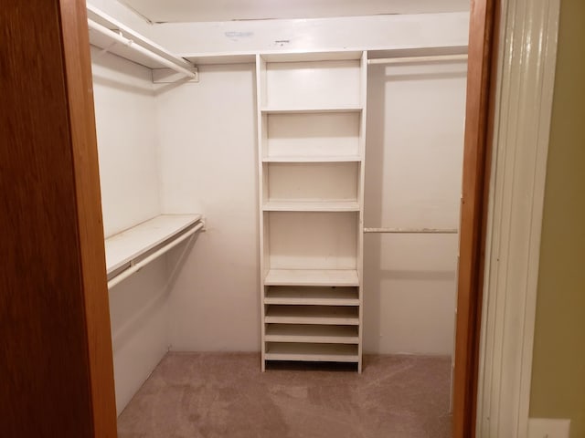 spacious closet with carpet flooring