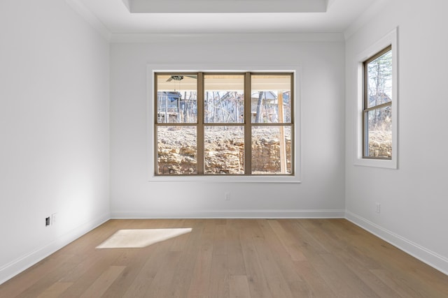 empty room featuring light wood-style floors, a wealth of natural light, and baseboards