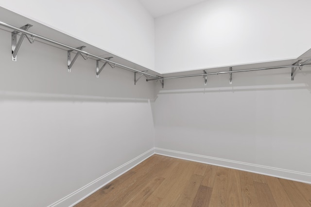 walk in closet featuring wood finished floors