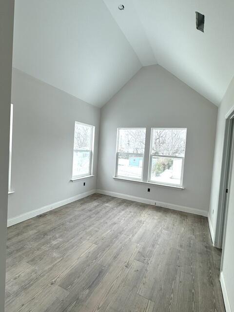 interior space with hardwood / wood-style flooring and lofted ceiling