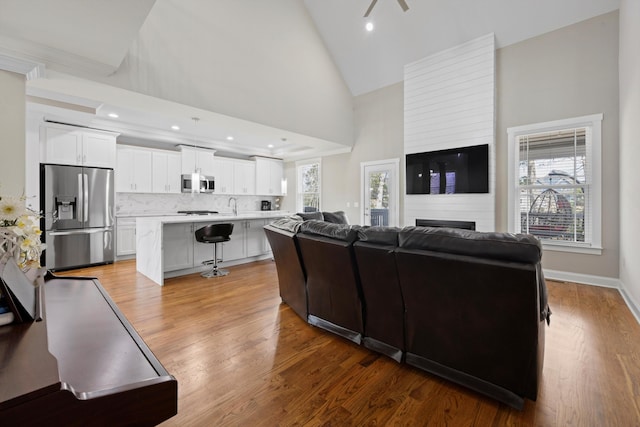 living room with a fireplace, light hardwood / wood-style flooring, high vaulted ceiling, and sink