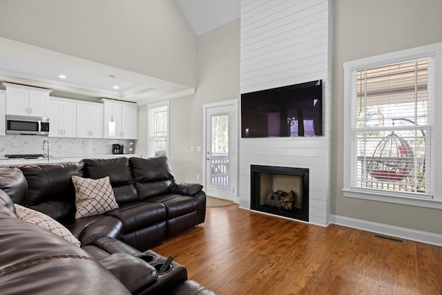 living room featuring dark hardwood / wood-style floors, a fireplace, and vaulted ceiling