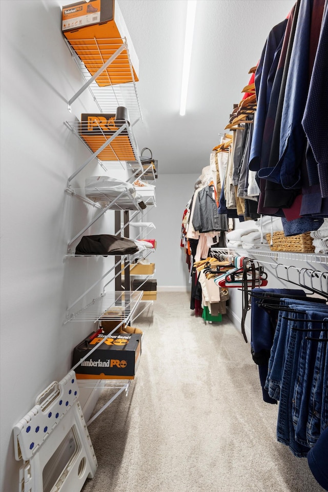 walk in closet featuring carpet