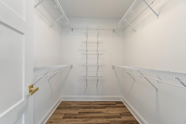 spacious closet with dark wood-type flooring