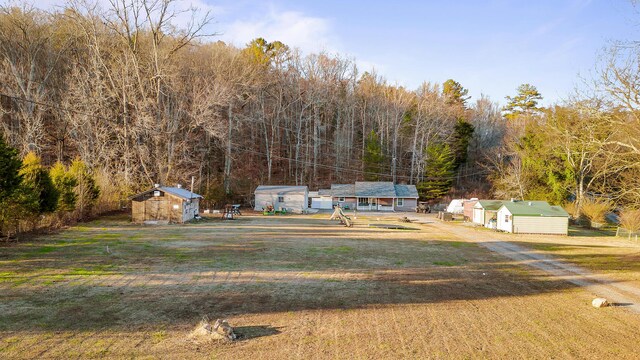 view of yard with a shed