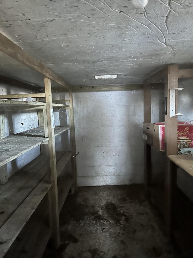 unfinished basement featuring concrete block wall