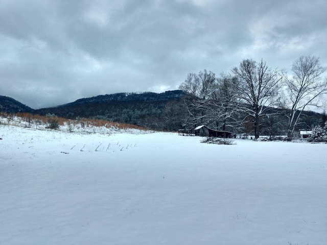 snowy yard with a mountain view