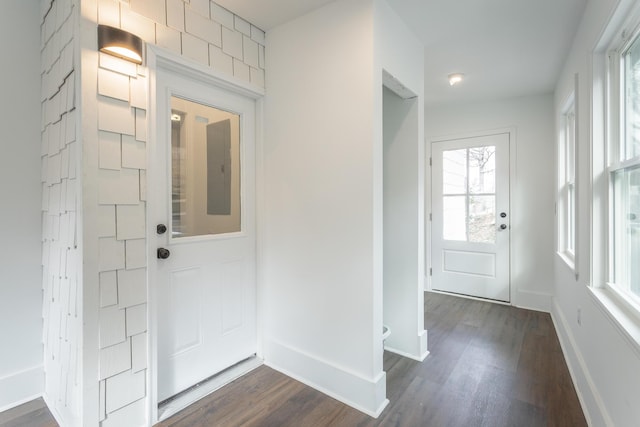 entryway featuring dark wood-type flooring