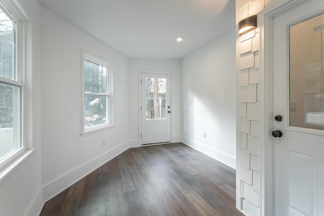 entrance foyer with dark wood-type flooring