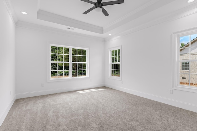 carpeted spare room featuring a raised ceiling, ceiling fan, and ornamental molding