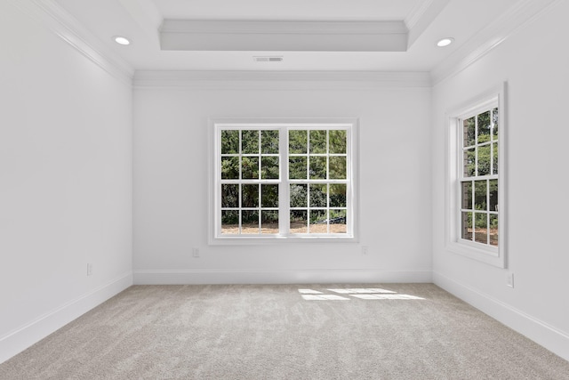 carpeted empty room with a tray ceiling and crown molding