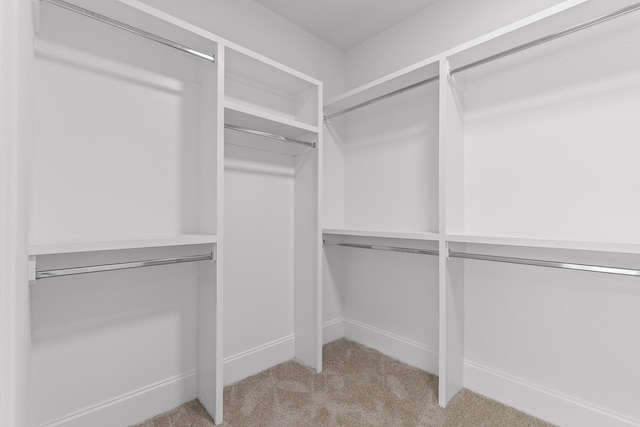 spacious closet with light colored carpet