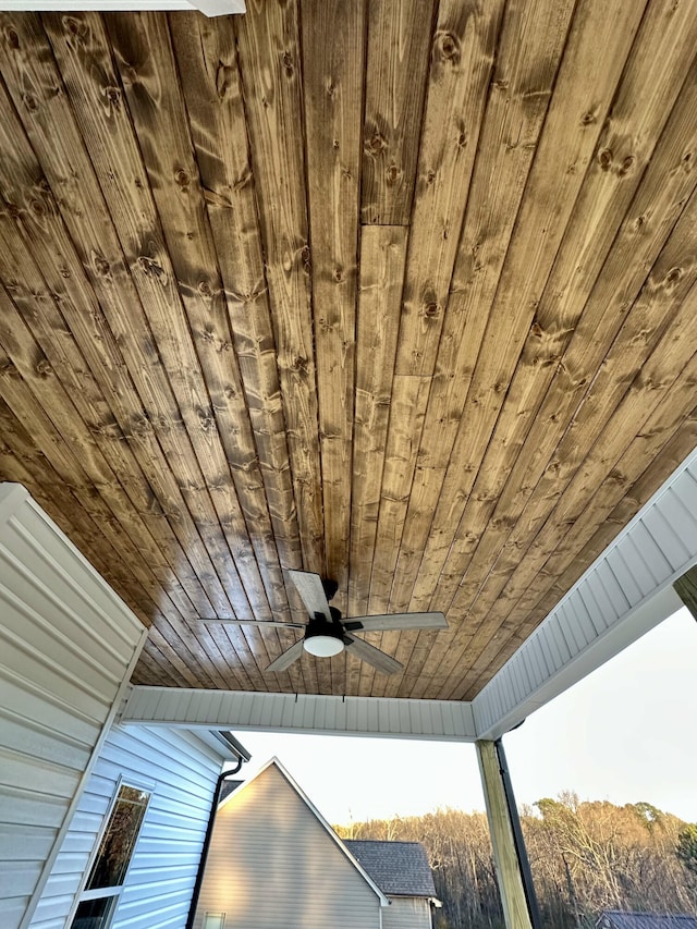 details featuring ceiling fan