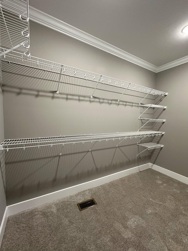 walk in closet featuring carpet flooring