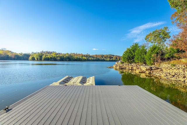 dock area featuring a water view